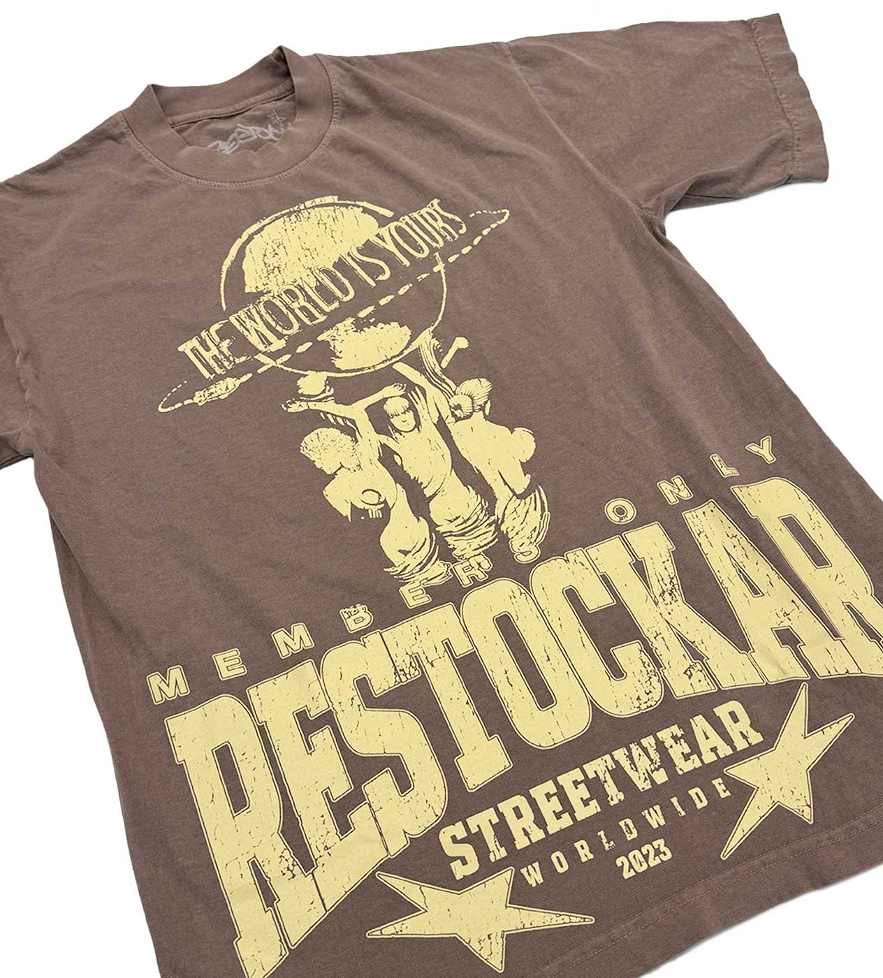 Restock AR The World Is Yours Tee Brown - Image 3