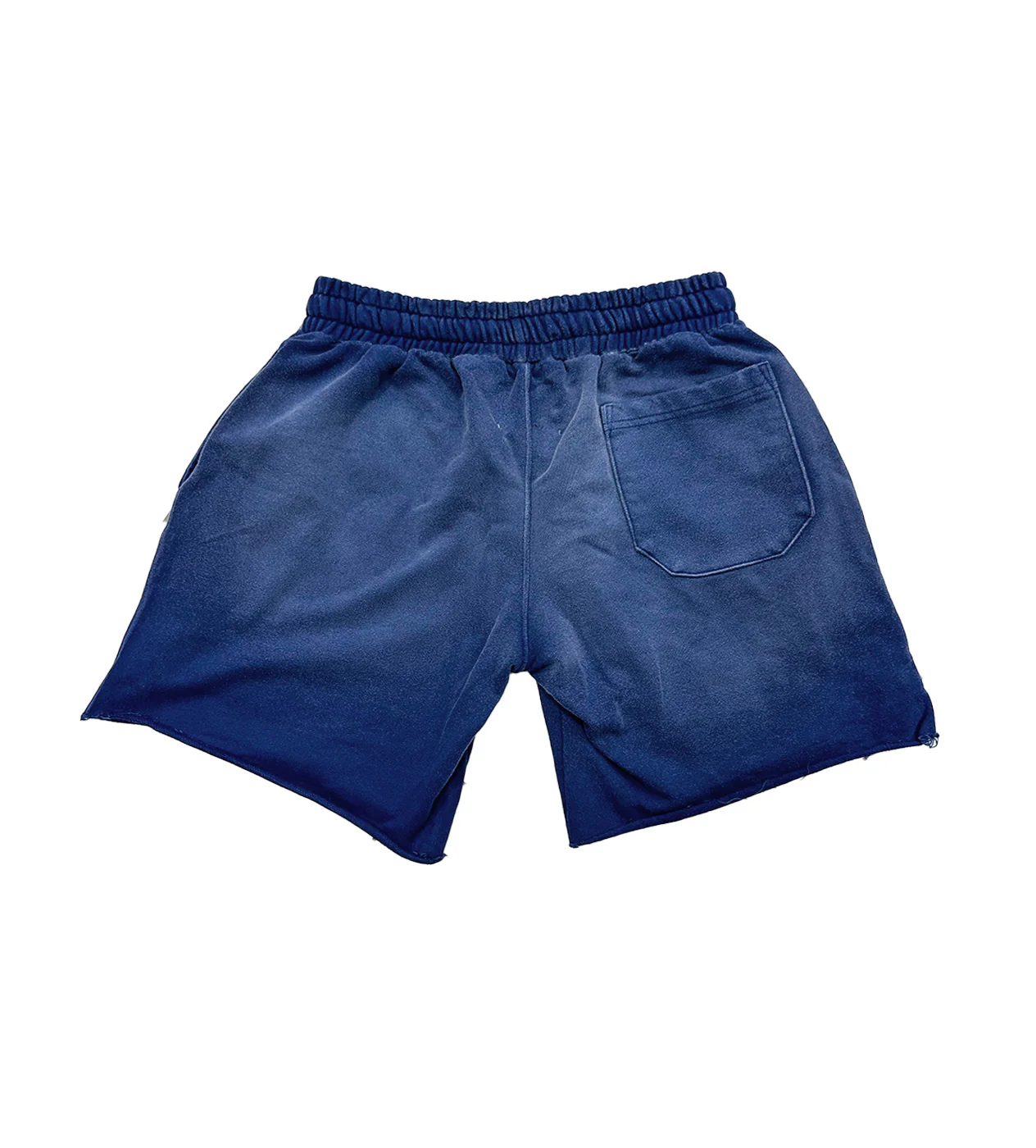Vertabrae Blue Double Emblem Shorts - Image 4